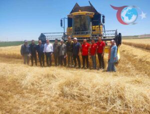 Konya Karapınar’da Hububat Hasadı Hız Kazandı