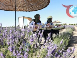 Konya’da Lavanta Bahçeleri Turizme Canlılık Getiriyor
