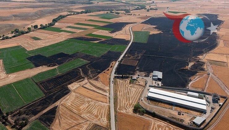 Kütahya’da Büyük Çaplı Yangın: 800 Dekar Arazi Zarar Gördü