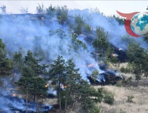 Kuzey Makedonya’da 30 Günlük Kriz Durumu: Orman Yangınlarıyla Mücadele Başladı