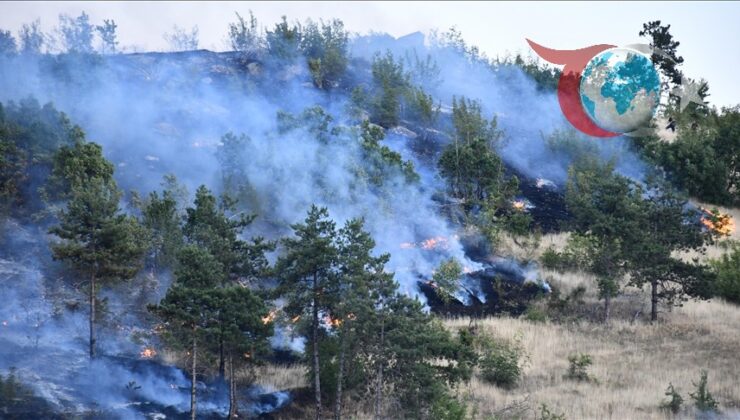 Kuzey Makedonya’da 30 Günlük Kriz Durumu: Orman Yangınlarıyla Mücadele Başladı