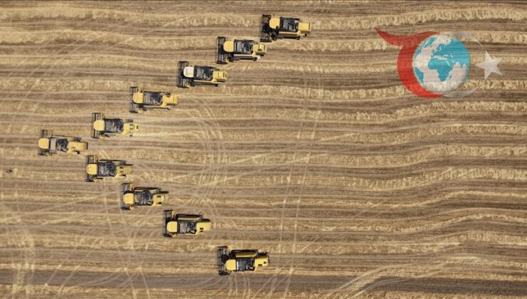 Malya Tarım İşletmesi’nde Kuraklığa Rağmen Üretim Sürüyor