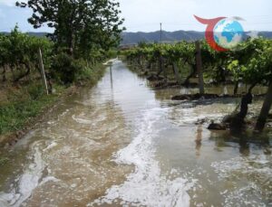 Manisa Sarıgöl’de Üzüm Bağlarında Yeni Sezon Sulamaları Başladı