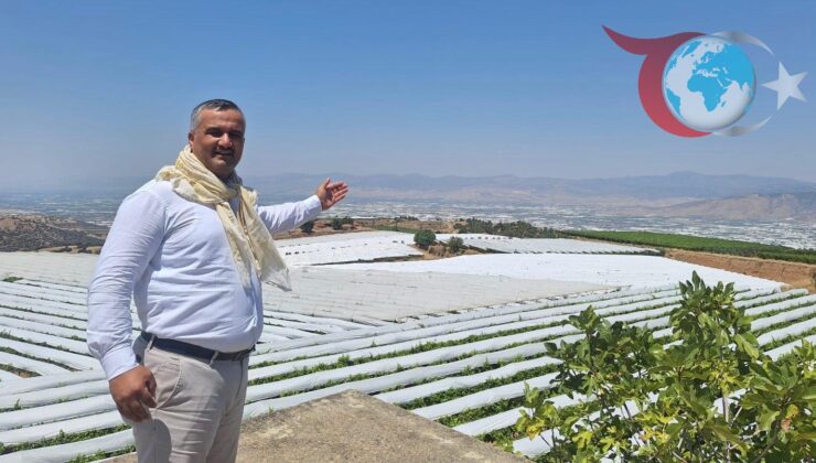 Manisa’nın Sarıgöl Ovası’nda Üzüm Bağları Beyaza Büründü