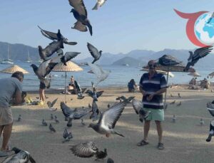 Marmaris’in Güvercinleri: Plajın Sevimli Ziyaretçileri ve Duyarlı Vatandaşlar