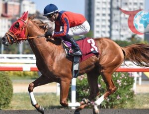 Ömürünoğlu’nun Zaferi: Pertevniyal Lisesi’nden Türk Sporuna Katkılar