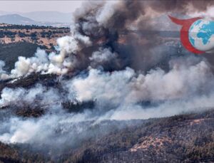 Orman Yangınları Sonrası Hasar Tespit Çalışmaları Hızla İlerliyor