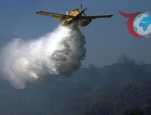 Orman Yangınları ve İklim Değişikliği: Türkiye Nereye Gidiyor?