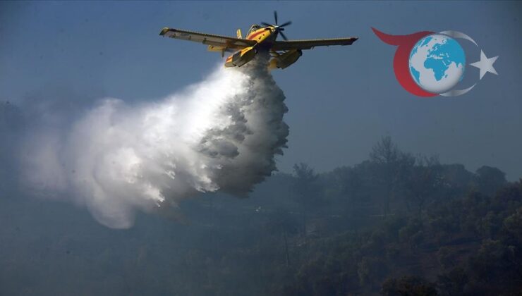 Orman Yangınları ve İklim Değişikliği: Türkiye Nereye Gidiyor?