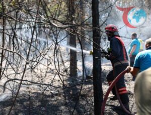 Orman Yangınlarına Karşı Kritik Uyarılar: İnsan Kaynaklı Riskler ve Önlemler