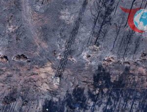 Orman Yangınlarında UEDAŞ’ın Kesintisiz Mücadele Çabaları