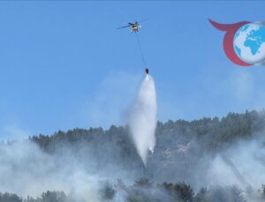 Orman Yangınlarıyla Mücadelede Tarihi Dönem: Başarılar ve Zorluklar