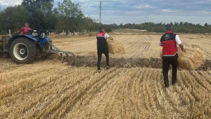 Osmaneli ve Gölpazarı’ndaki Orman Yangınlarına Anında Müdahale: Destek Kampanyalarıyla Yaralar Sarılıyor