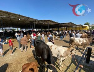 Şap Hastalığı Tehdidine Karşı Aydın’da Hayvan Pazarları Geçici Süreyle Kapatıldı