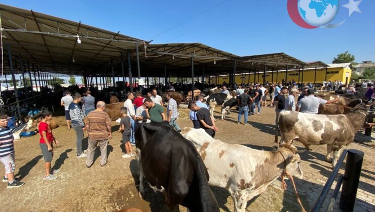 Şap Hastalığı Tehdidine Karşı Aydın’da Hayvan Pazarları Geçici Süreyle Kapatıldı