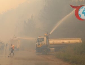 Suriye’deki Orman Yangınları Tehlike Saçıyor: Yardım Çağrısı ve Kritik Gelişmeler