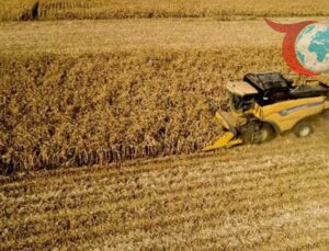 Tarım Ürünlerinde Haziran Ayı Fiyatları Yükseldi