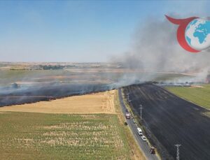Tekirdağ’daki Buğday Tarlasında Çıkan Yangın Kontrol Altına Alındı