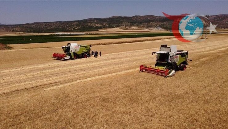 Toprak Mahsulleri Ofisi 2025 Hububat Ödemelerine Başladı