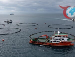 Trabzon’dan Su Ürünleri İhracatında Büyük Artış