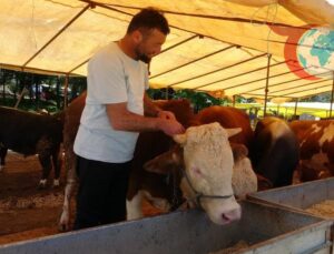 Türkiye Genelinde Hayvan Pazarlarına Kapatma Kararı: Şap Salgını Önlemleri