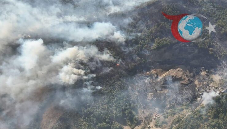 Türkiye’de Orman Yangınları: Sorumlular Hakkında Yasal İşlemler Devam Ediyor