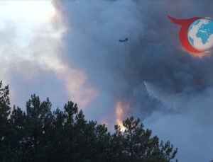 Türkiye’de Orman Yangınlarıyla Mücadelede Kararlılık Sürüyor