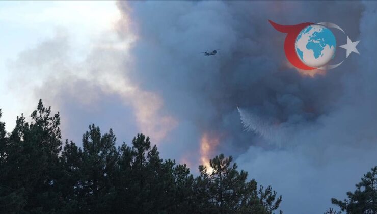 Türkiye’de Orman Yangınlarıyla Mücadelede Kararlılık Sürüyor