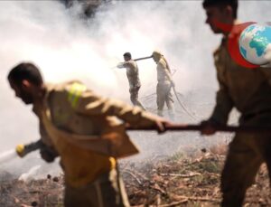 Türkiye’deki Orman Yangınlarına Karşı Gönüllülerin Etkisi Büyüyor
