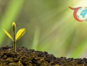 Türkiye’nin İlk İklim Kanunu ile Yeşil Dönüşüm Başlıyor