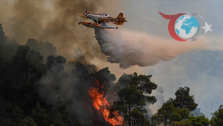 Türkiye’nin Orman Yangınları ile Mücadelesinde Uluslararası Başarı