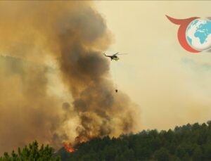 Uşak’ta Orman Yangını: Rüzgarın Etkisiyle Yayılıyor