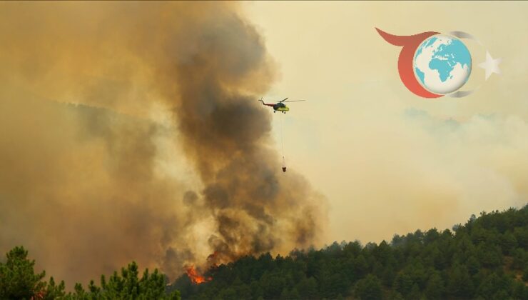 Uşak’ta Orman Yangını: Rüzgarın Etkisiyle Yayılıyor