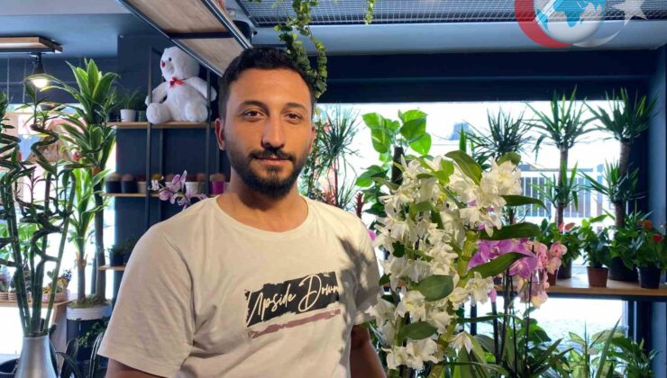 Yaz Aylarında Bitkilerinizi Nasıl Koruyabilirsiniz? İpuçları ve Uyarılar