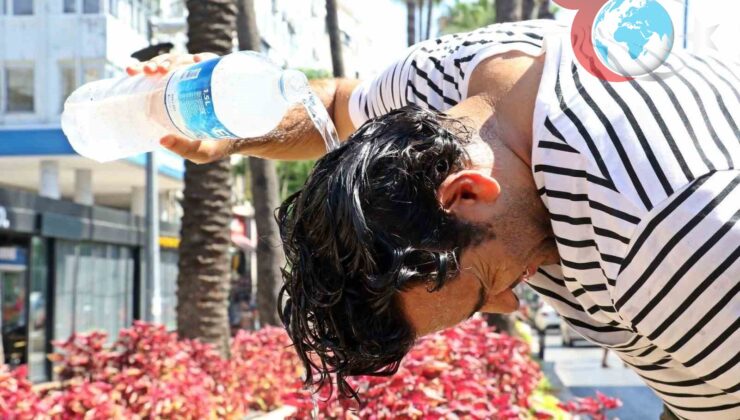 Yaz Aylarında Kalp Sağlığı İçin Hayati Öneriler