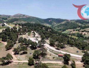 Yenilenen Kozdere Çamlığı: Yaz Ayları İçin Hazırlıklar Tamamlandı