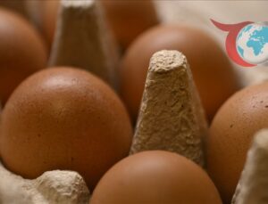 Yumurta İhracatında Yeni Dönem: DFİF Kesintisi Kaldırıldı