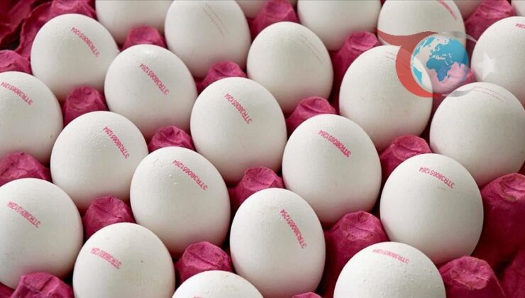 Yumurta Tebliğinde Önemli Değişiklikler Yürürlüğe Girdi: İşte Detaylar