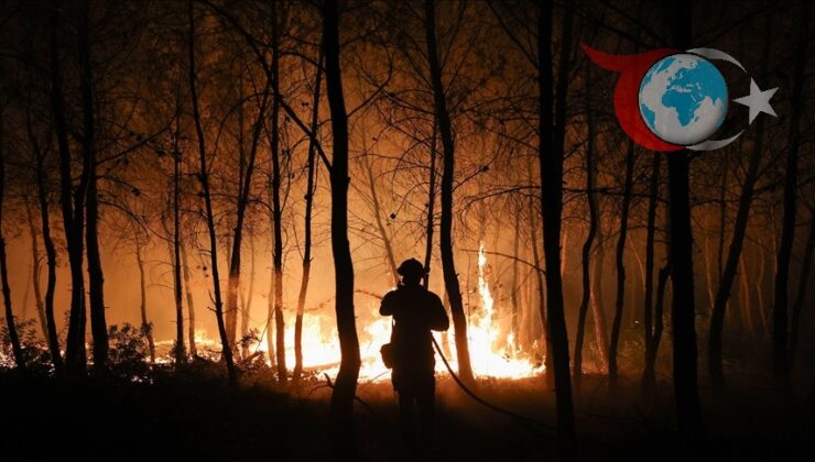 Yunanistan’da Kavurucu Çöl Sıcaklıkları Yangın Felaketine Yol Açtı