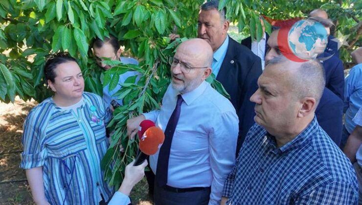 Zirai Don Krizine Çözüm Arayışları: TBMM Komisyonu’nun Çalışmaları ve Yeni Öneriler