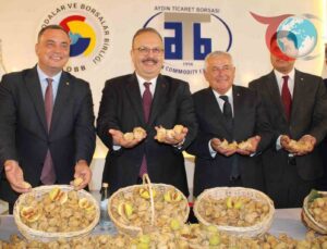 2024’te Aydın’da İncir Sezonu 800 TL Sembolik Fiyatla Açıldı