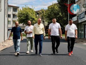 Adapazarı’nda Mahalleleri Güzelleştirme Çalışmaları Tam Gaz Devam Ediyor