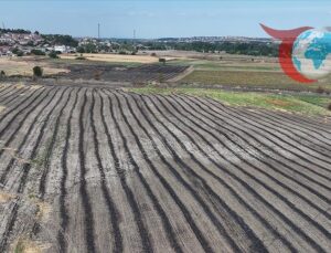 Anız Yakmanın Tehlikeleri: Toprak ve Ekosistem İçin Geri Dönülmez Zararlar