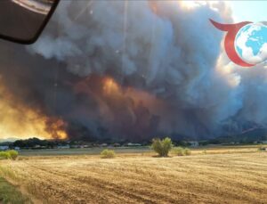 Ankara Yangınları: Binlerce Hektar Alanı Kül Eden Felaket