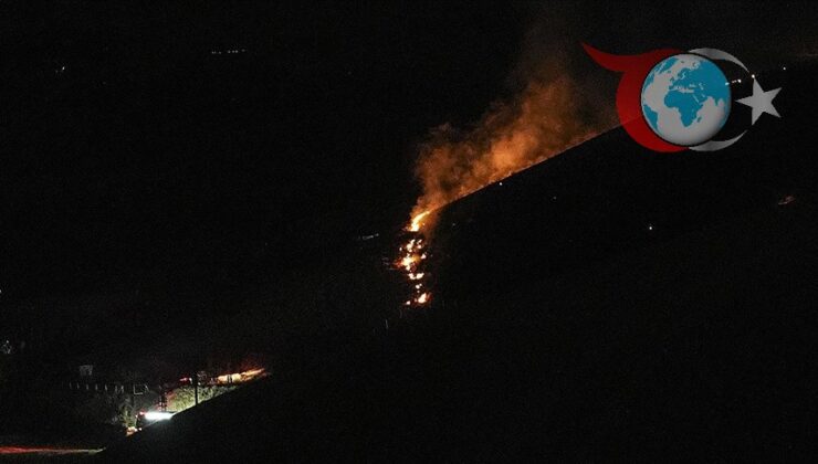 Ankara’da Otluk Alanda Yangın Paniği: Şüpheli Tutuklandı