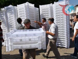 Aydın’da İncir Kalitesini Artıracak Dev Hamle: 11 Bin Kerevet Üreticilere Dağıtılıyor