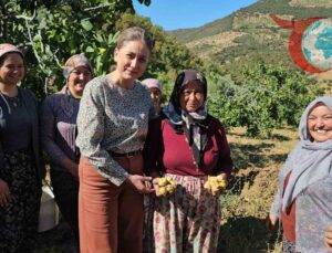 Aydın’da Sarı Lop İncir Hasadı Başladı: 11 Bin 854 Kerevet Dağıtıldı