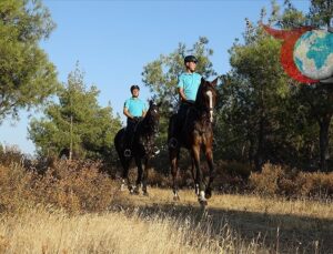 Balıkesir’de Orman Yangınlarına Karşı Yeni Önlemler