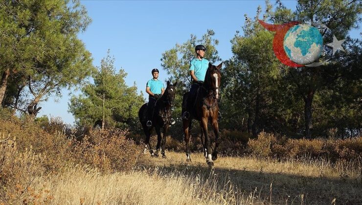 Balıkesir’de Orman Yangınlarına Karşı Yeni Önlemler