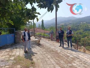 Balıkesir’de Yaşanan Depremin Ardından İlkadım Belediyesi’nden Yardım Eli